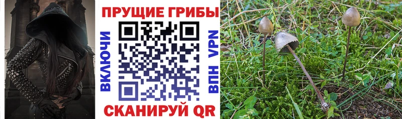 Галлюциногенные грибы мухоморы Нерехта